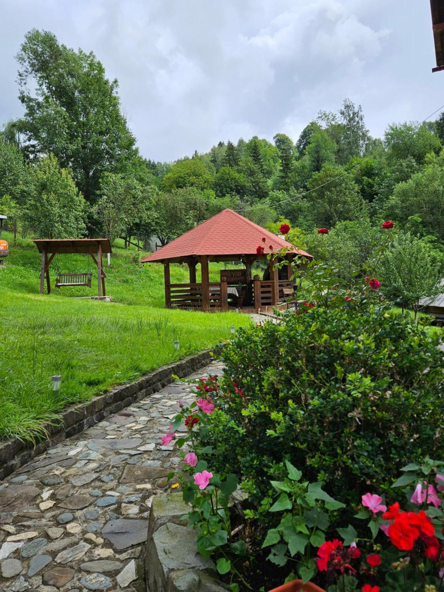 Villa Casa Alba Borşa Exterior foto